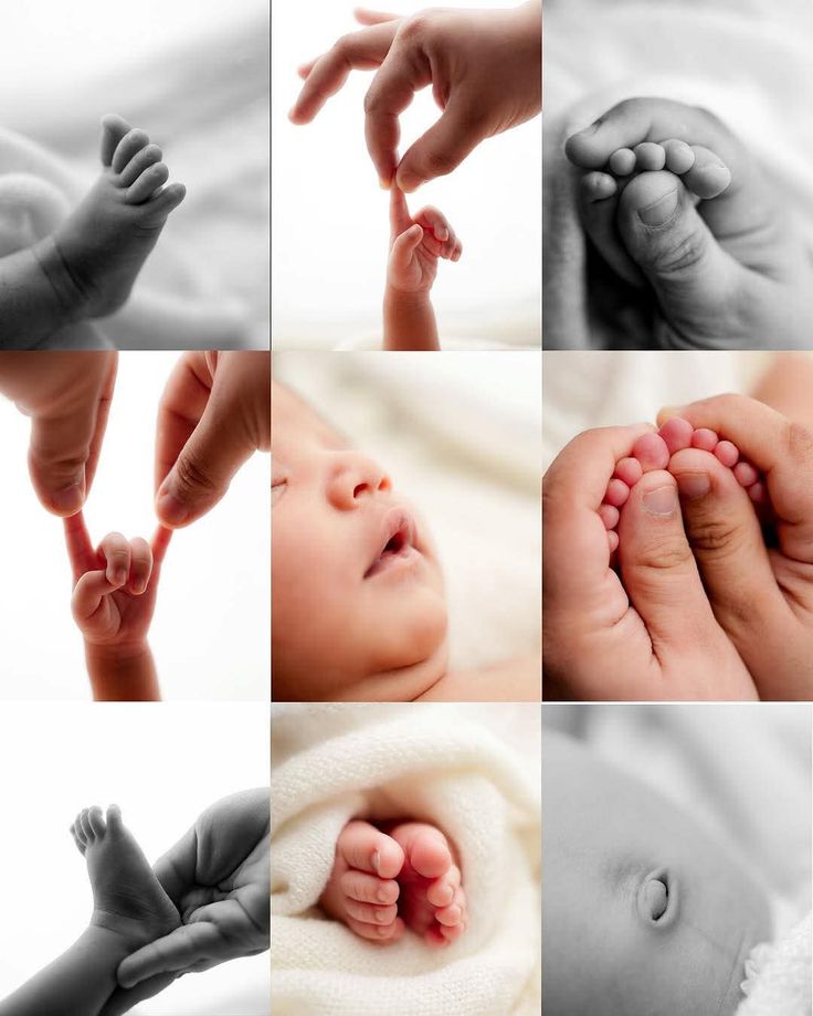 download (10) newborn feature photos